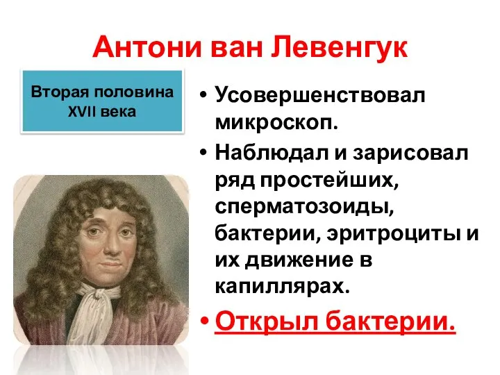 Антони ван Левенгук Усовершенствовал микроскоп. Наблюдал и зарисовал ряд простейших, сперматозоиды, бактерии,