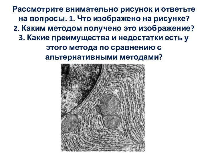 Рассмотрите внимательно рисунок и ответьте на вопросы. 1. Что изображено на рисунке?