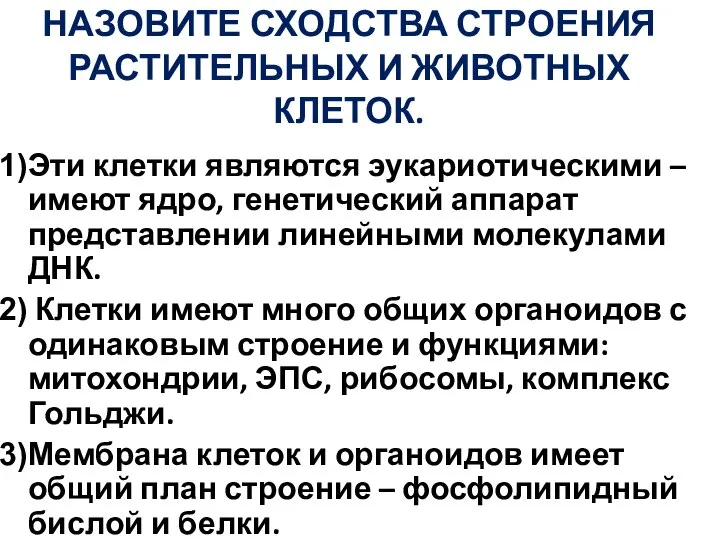 НАЗОВИТЕ СХОДСТВА СТРОЕНИЯ РАСТИТЕЛЬНЫХ И ЖИВОТНЫХ КЛЕТОК. Эти клетки являются эукариотическими –