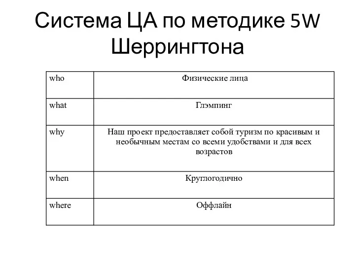 Система ЦА по методике 5W Шеррингтона