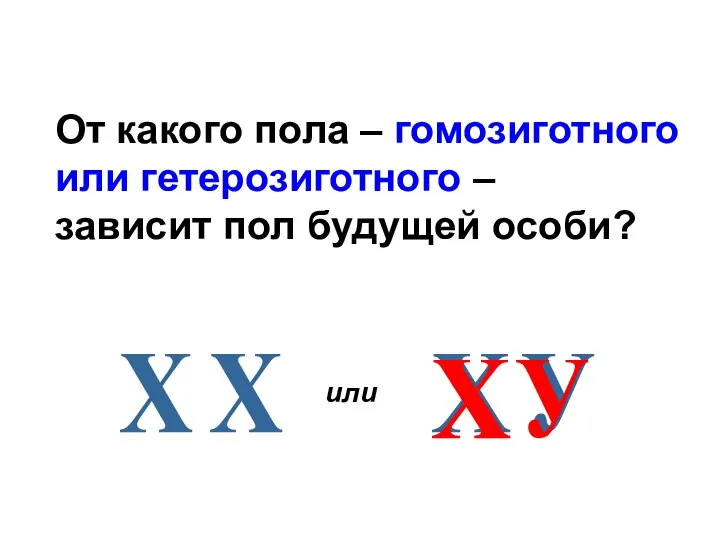 От какого пола – гомозиготного или гетерозиготного – зависит пол будущей особи?