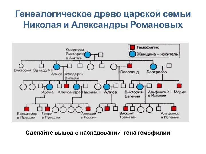 Генеалогическое древо царской семьи Николая и Александры Романовых Сделайте вывод о наследовании гена гемофилии