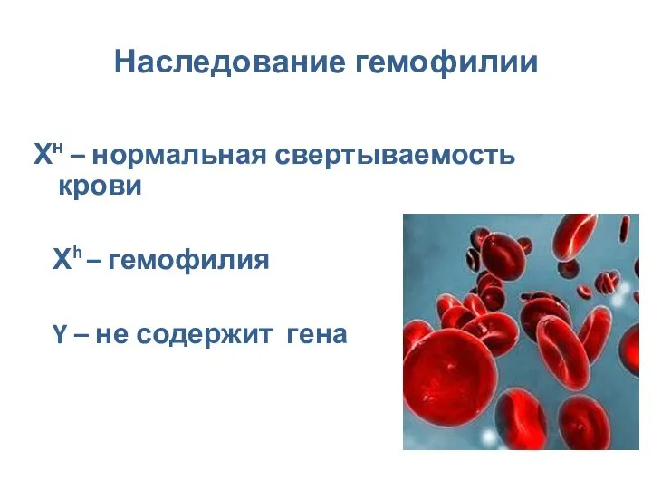 Наследование гемофилии Хн – нормальная свертываемость крови Хh – гемофилия Y – не содержит гена