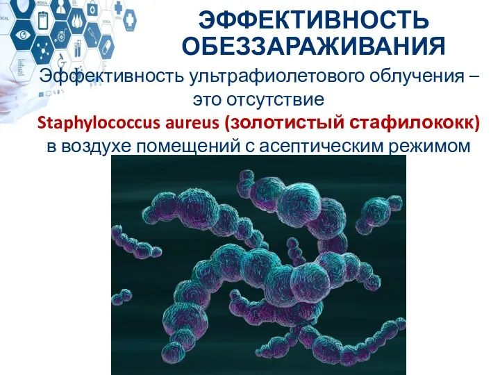 Эффективность ультрафиолетового облучения – это отсутствие Staphylococcus aureus (золотистый стафилококк) в воздухе
