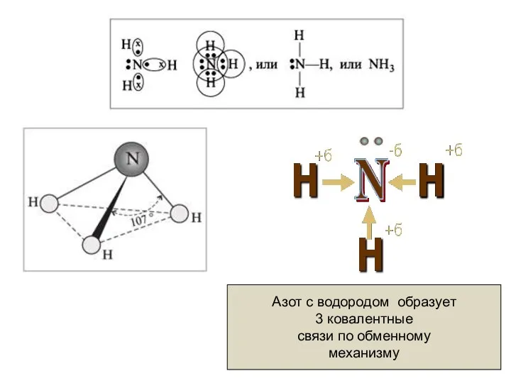 Азот с водородом образует 3 ковалентные связи по обменному механизму