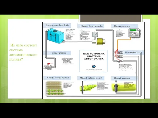 Из чего состоит система автоматического полива?