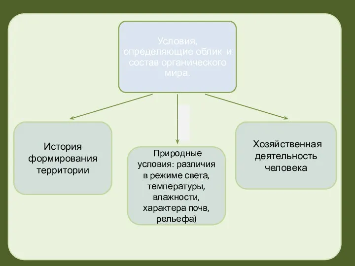 История формирования территории Природные условия: различия в режиме света, температуры, влажности, характера