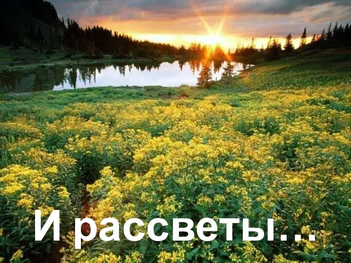 И рассветы…