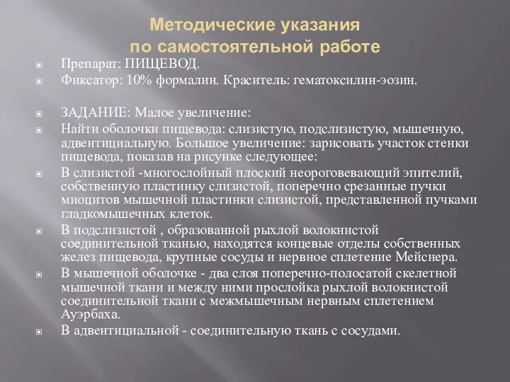 Методические указания по самостоятельной работе Препарат: ПИЩЕВОД. Фиксатор: 10% формалин. Краситель: гематоксилин-эозин.