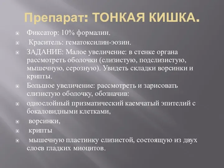 Препарат: ТОНКАЯ КИШКА. Фиксатор: 10% формалин. Краситель: гематоксилин-эозин. ЗАДАНИЕ: Малое увеличение: в