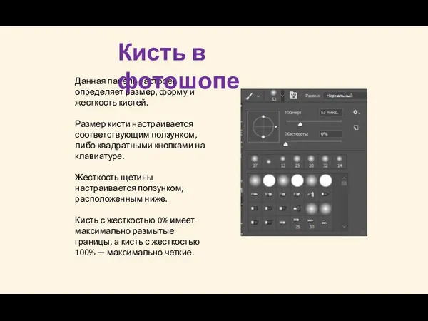 Данная панель настроек определяет размер, форму и жесткость кистей. Размер кисти настраивается