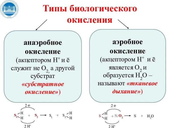 Типы биологического окисления анаэробное окисление (акцептором Н+ и ē служит не О2,