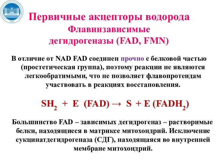 Первичные акцепторы водорода Флавинзависимые дегидрогеназы (FAD, FMN) В отличие от NAD FAD