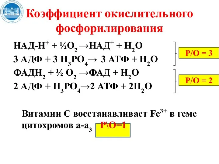 Коэффициент окислительного фосфорилирования НАД-Н+ + ½О2 →НАД+ + Н2О 3 АДФ +