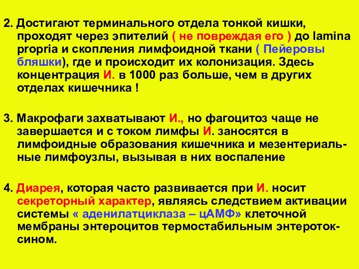 2. Достигают терминального отдела тонкой кишки, проходят через эпителий ( не повреждая