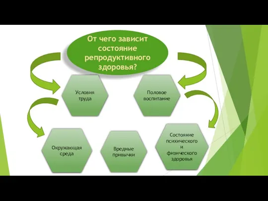 От чего зависит состояние репродуктивного здоровья? Состояние психического и физического здоровья Окружающая