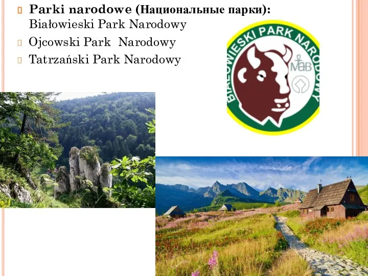 Parki narodowe (Национальные парки): Białowieski Park Narodowy Ojcowski Park Narodowy Tatrzański Park Narodowy