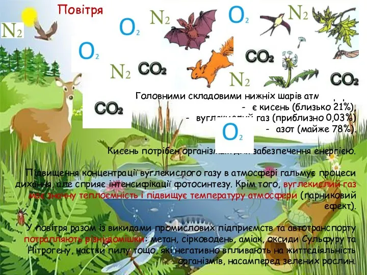 Головними складовими нижніх шарів атмосфери: є кисень (близько 21%), вуглекислий газ (приблизно