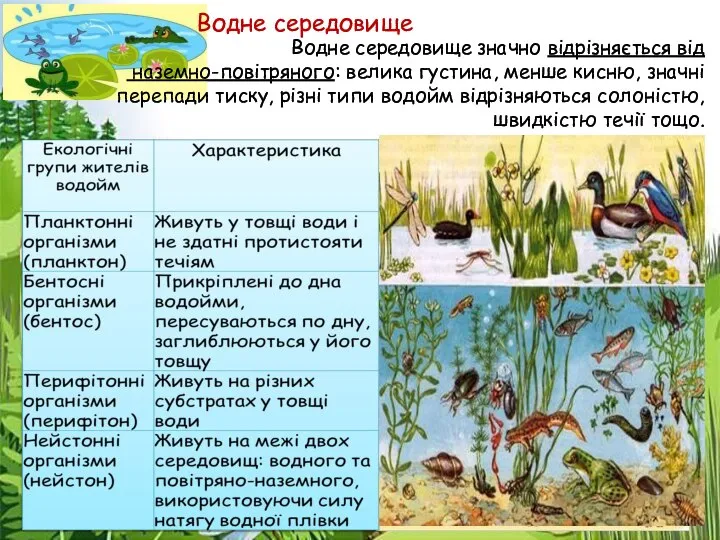 Водне середовище значно відрізняється від наземно-повітряного: велика густина, менше кисню, значні перепади