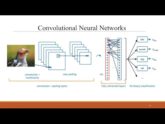 Convolutional Neural Networks