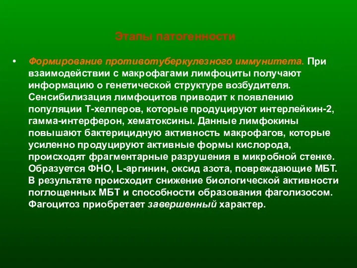 Этапы патогенности Формирование противотуберкулезного иммунитета. При взаимодействии с макрофагами лимфоциты получают информацию