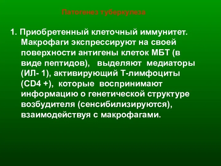 Патогенез туберкулеза 1. Приобретенный клеточный иммунитет. Макрофаги экспрессируют на своей поверхности антигены