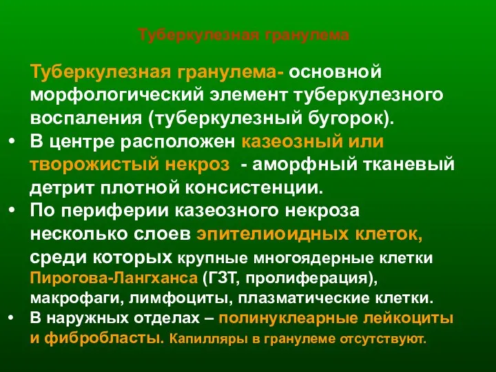 Туберкулезная гранулема- основной морфологический элемент туберкулезного воспаления (туберкулезный бугорок). В центре расположен