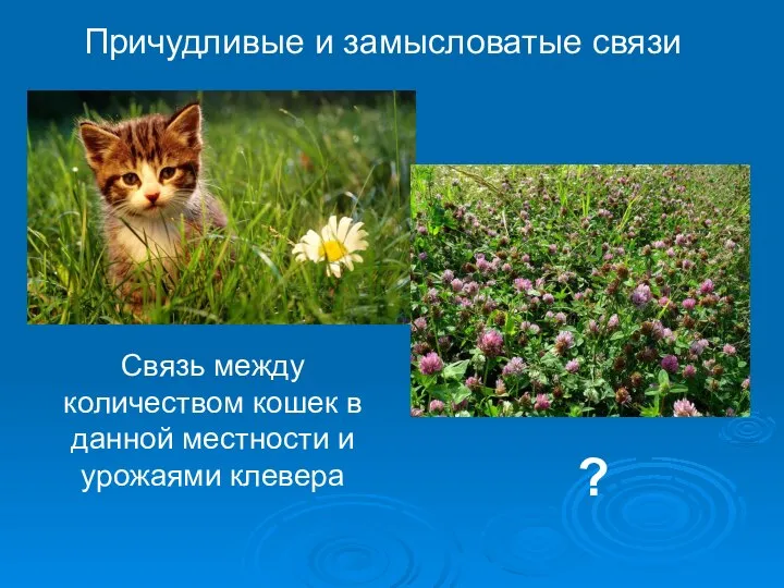Причудливые и замысловатые связи Связь между количеством кошек в данной местности и урожаями клевера ?