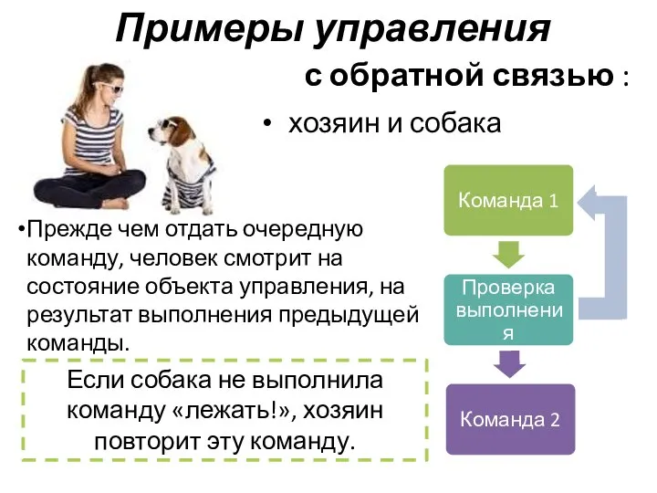 Примеры управления с обратной связью : хозяин и собака Прежде чем отдать