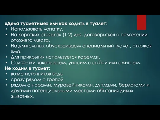 «Дела туалетные» или как ходить в туалет: Использовать лопатку. На коротких стоянках