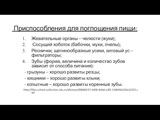 Приспособления для поглощения пищи: Жевательные органы – челюсти (жуки); Сосущий хоботок (бабочки,