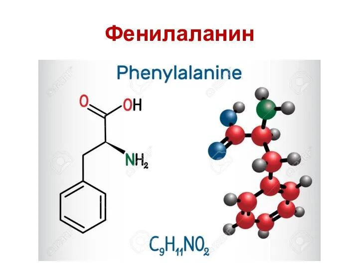 Фенилаланин