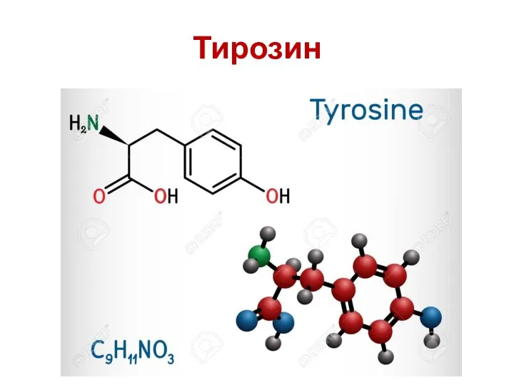 Тирозин