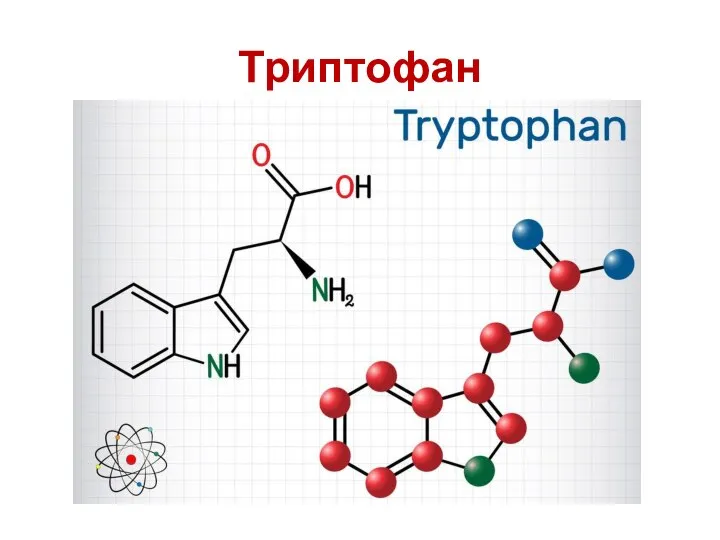 Триптофан