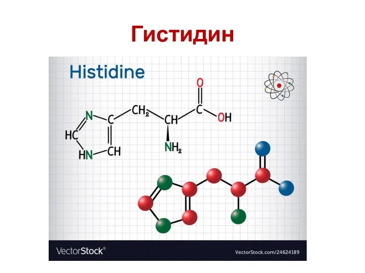 Гистидин