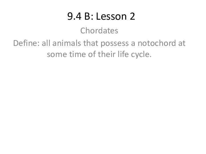 Chordates. (Lesson 2)