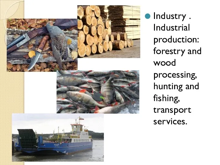 Industry . Industrial production: forestry and wood processing, hunting and fishing, transport services.