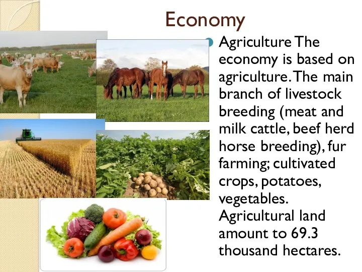 Economy Agriculture The economy is based on agriculture. The main branch of