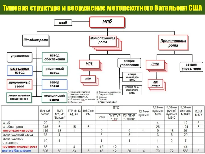 Типовая структура и вооружение мотопехотного батальона США