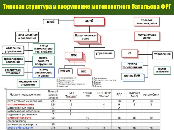 Типовая структура и вооружение мотопехотного батальона ФРГ