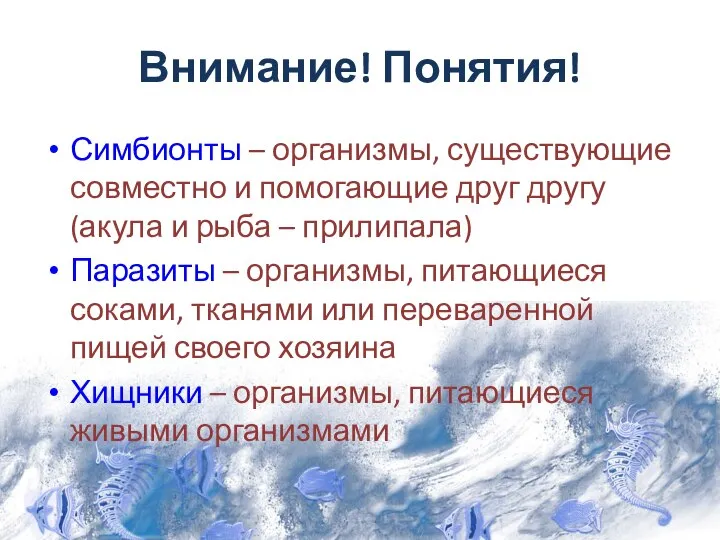 Внимание! Понятия! Симбионты – организмы, существующие совместно и помогающие друг другу (акула