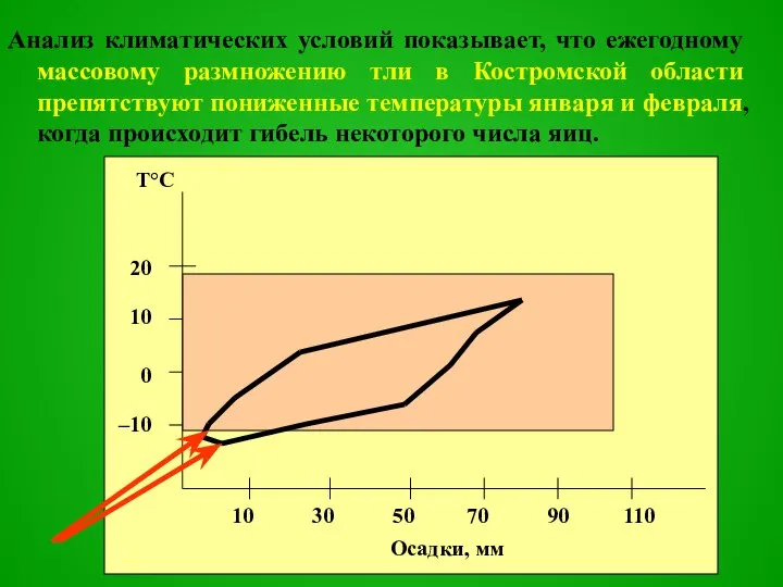 Анализ климатических условий показывает, что ежегодному массовому размножению тли в Костромской области
