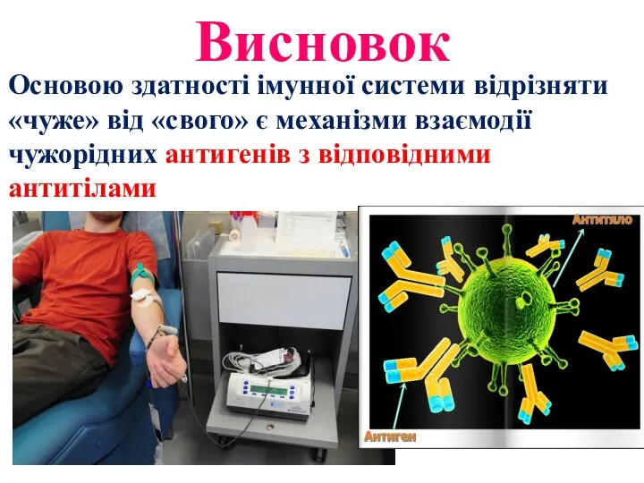 Висновок Основою здатності імунної системи відрізняти «чуже» від «свого» є механізми взаємодії