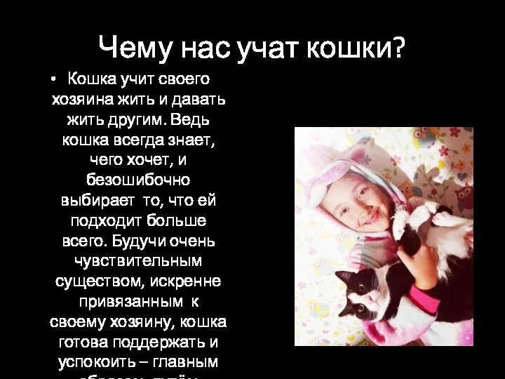 Чему нас учат кошки? Кошка учит своего хозяина жить и давать жить