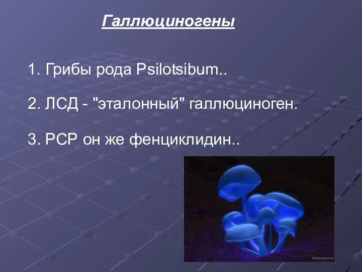 Галлюциногены 1. Грибы рода Psilotsibum.. 2. ЛСД - "эталонный" галлюциноген. 3. РСР он же фенциклидин..