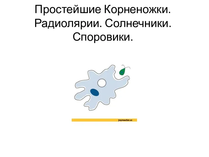Презентация по биологии _Простейшие_