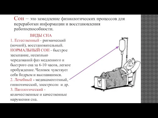 Сон – это замедление физиологических процессов для переработки информации и восстановления работоспособности.