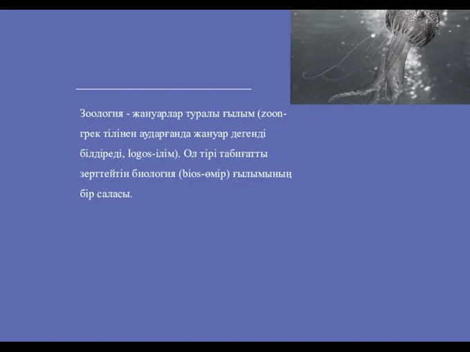 Зоология - жануарлар туралы ғылым (zoon-грек тілінен аударғанда жануар дегенді білдіреді, logos-ілім).