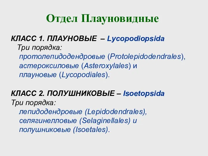 КЛАСС 1. ПЛАУНОВЫЕ – Lycopodiopsida Три порядка: протолепидодендровые (Protolepidodendrales), астероксиловые (Asteroxylales) и
