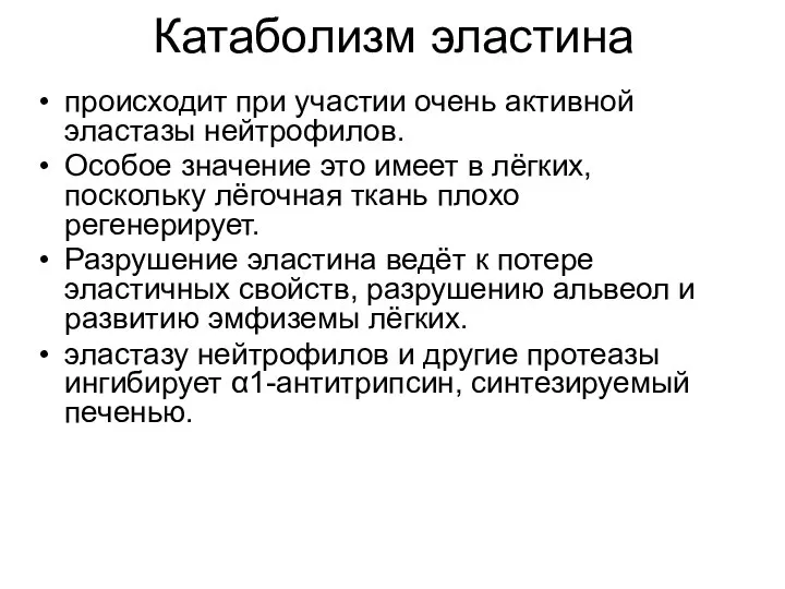 Катаболизм эластина происходит при участии очень активной эластазы нейтрофилов. Особое значение это